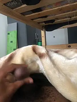 FuckBuddy_Raw Webcam-Show