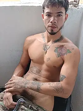 Show webcam de Niick01_