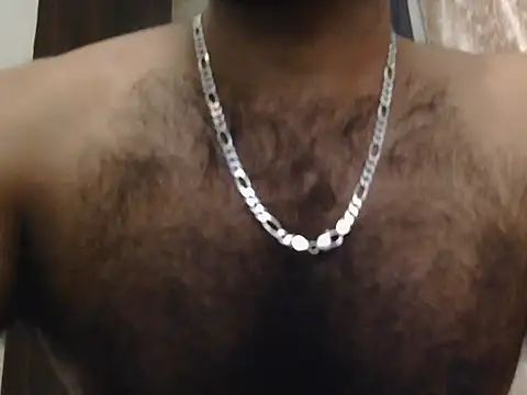 indianhairybull webcam show