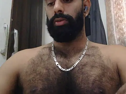 Show de indianhairybull na webcam