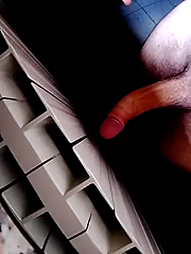 Porcopalestratocazzone21 Webcam show