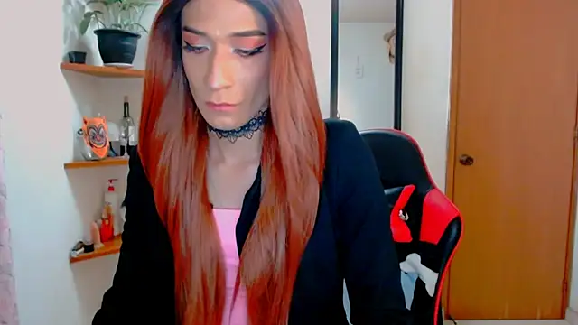 Show webcam de NovaNyx11