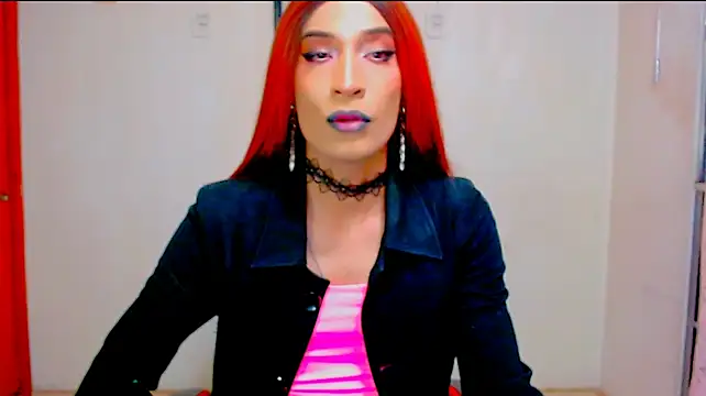 Show webcam de NovaNyx11