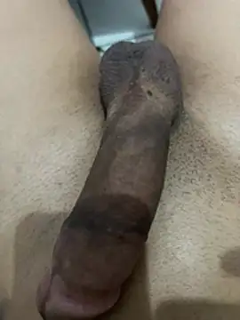 Show de danielpg25 na webcam