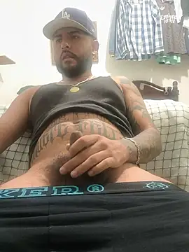 عرض كام dickman10