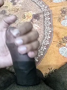 Yashkumar_0697n Webbikameraesitys