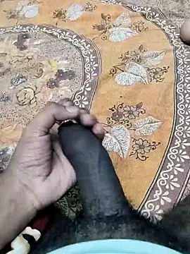 Pertunjukan Kamera Web Yashkumar_0697