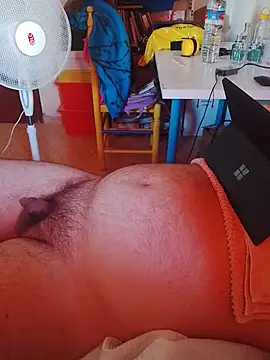 radioboy 网络视讯表演
