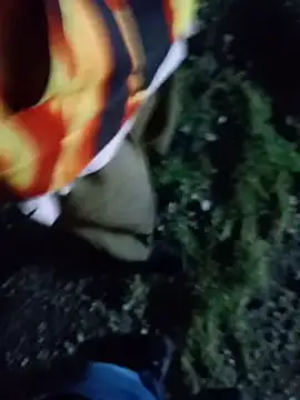 oktlicogedorのウェブカメラショー