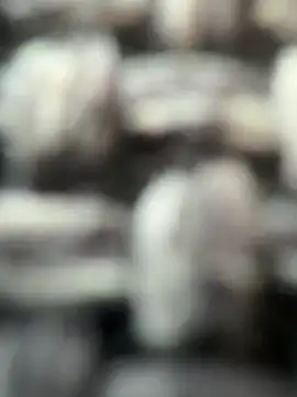 nastycock Pertunjukan Webcam
