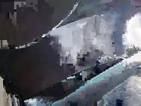 birdg – webcam-show