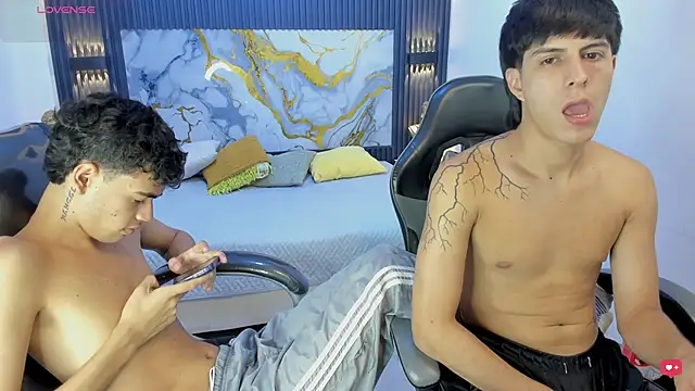 Estiv18_ Show in webcam
