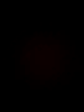 عرض كام flo000031