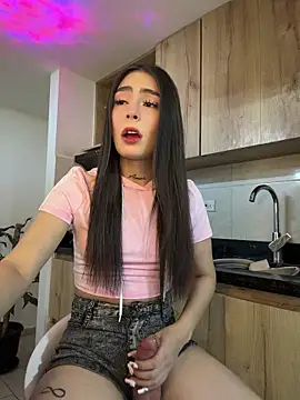 Camistar18n Webbikameraesitys