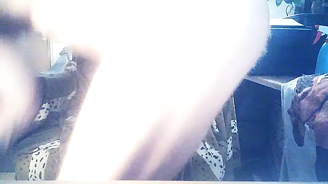 liquidio Webcam-Show