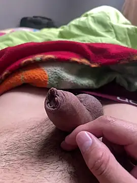 romiwin webcam show
