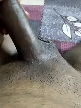 desi_pb02のウェブカメラショー