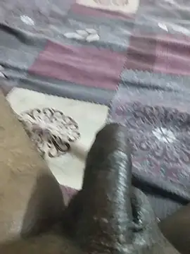 desi_pb02 Pertunjukan Webcam