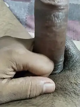 desi_pb02のウェブカメラショー