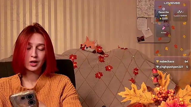 aishiron Webbikameraesitys
