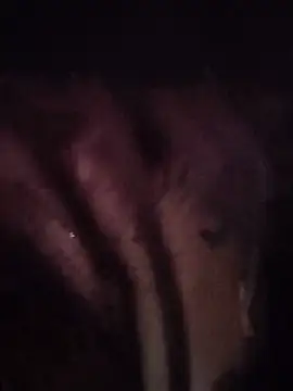 Živá chatovací místnost ElaRuil69