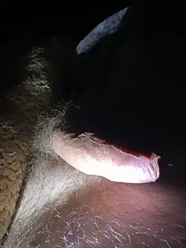 TripleSitdownのウェブカメラショー