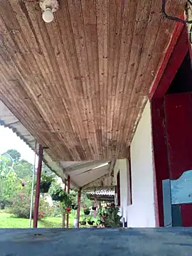 NatashaRex's Webcam Show