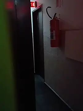 uiii_preton Webbikameraesitys
