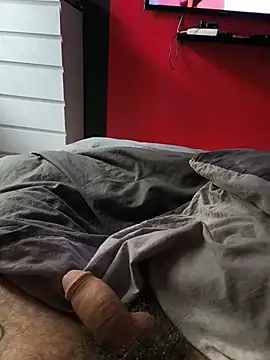 Show webcam de venezmefairegicler