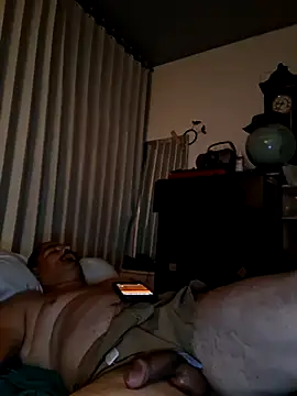 Show webcam de bimexpoexist
