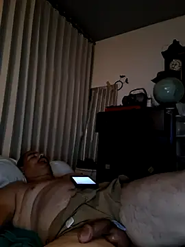 Show webcam de bimexpoexist