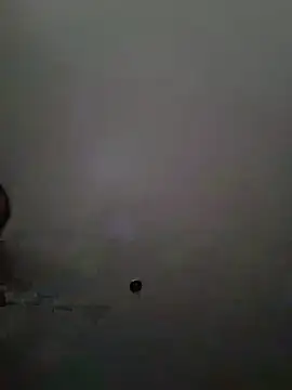 عرض كام bimexpoexist