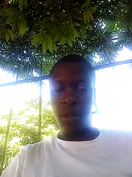 Show Webcam de lilpip