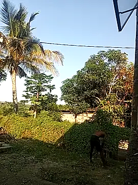 lilpip Adlı Modelin Web Kamerası Şovu