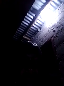 Show webcam de lilpip