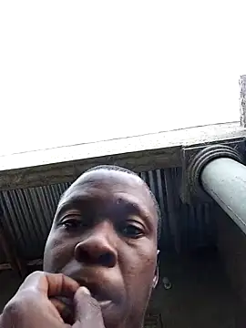 Show Webcam de lilpip