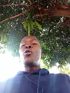 lilpip – webcam-show