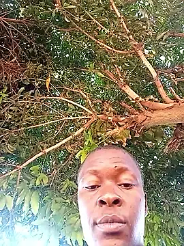 Show Webcam de lilpip