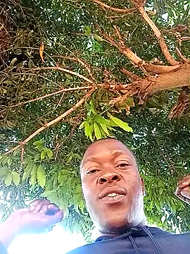 Show de webcam de lilpip