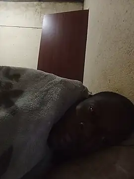 lilpip Pertunjukan Webcam