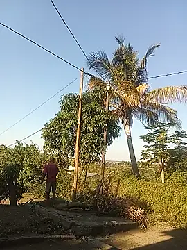 lilpip Webcam-Show