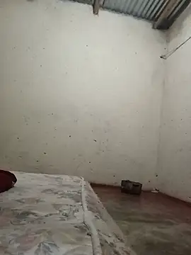 lilpip webcam show