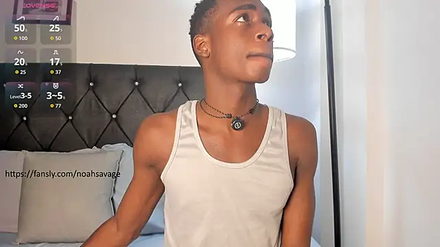 عرض كام noah_johes