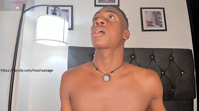 noah_johes Шоу с уебкамера