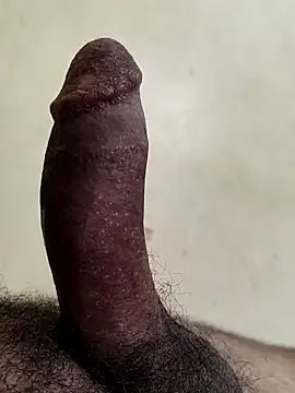 alkhabiir Pertunjukan Webcam