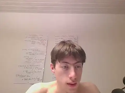 VelvetRagottiOGn Webbikameraesitys