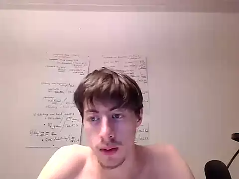 VelvetRagottiOGn Webbikameraesitys