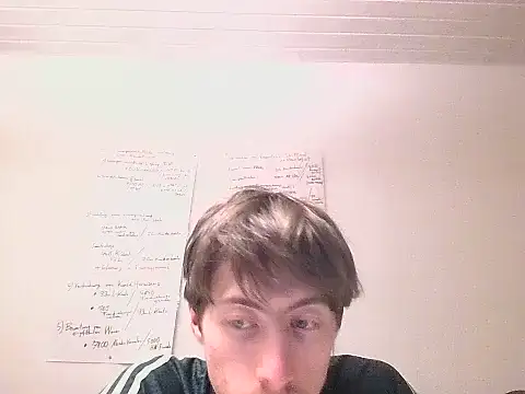 VelvetRagottiOG 网络视讯表演