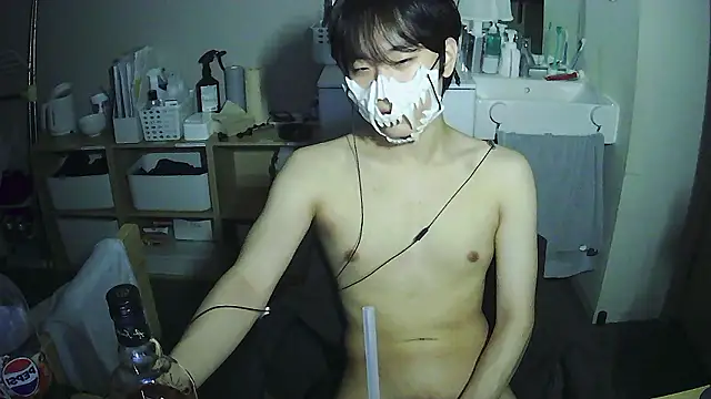 Show webcam de sdamvo2