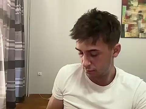 alin22010n Webbikameraesitys
